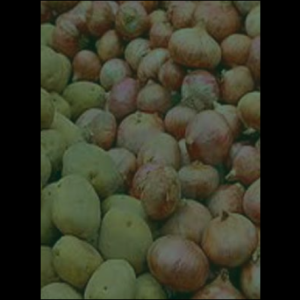 onionpotato_original_copy_2_copy_1_copy_1